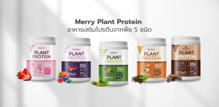 ปกบทความ Merry Plant Protein